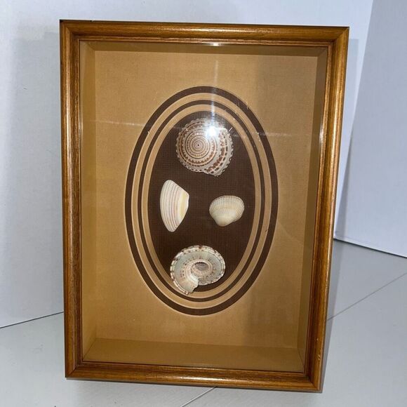 Vintage Sea Shell Framed in Oak Shadow Box Matted Glass Front Nautical Beach - Picture 1 of 8